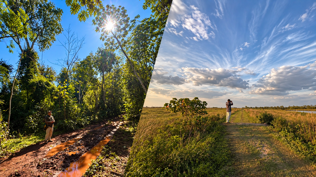 Birdwatching & Nature Photography